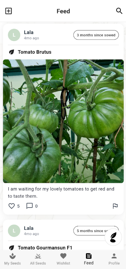 Community feed with tomato progress